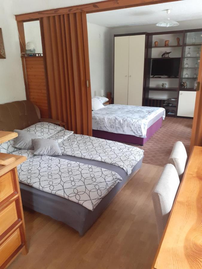 Apartamento Sokol Ogulin Exterior foto